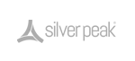 Silver Peak logosu